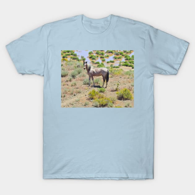 Wild horses, mustangs, Nevada, Standing Proud T-Shirt by sandyo2ly